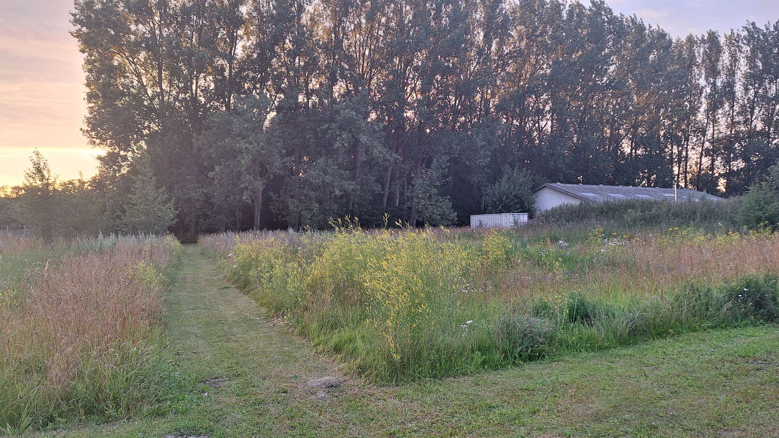 20250711_212638