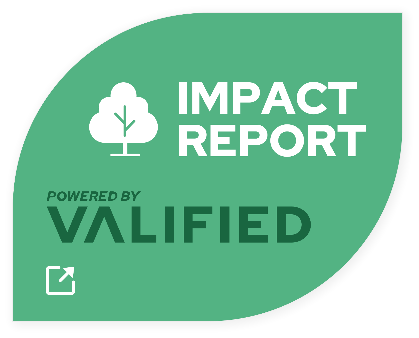 impact_report_icon--dark